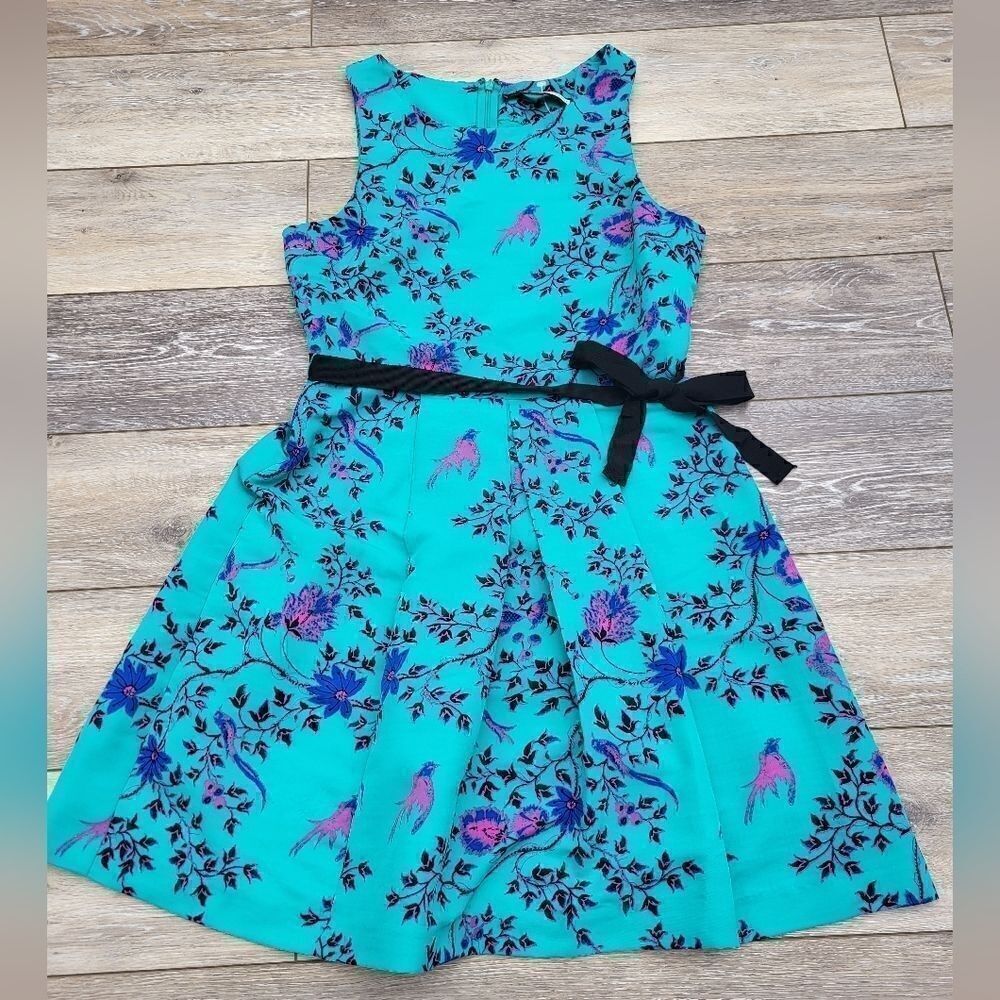 Anthropologie Plenty By Tracy Reeves teal and pink dress, fit and flare size 6